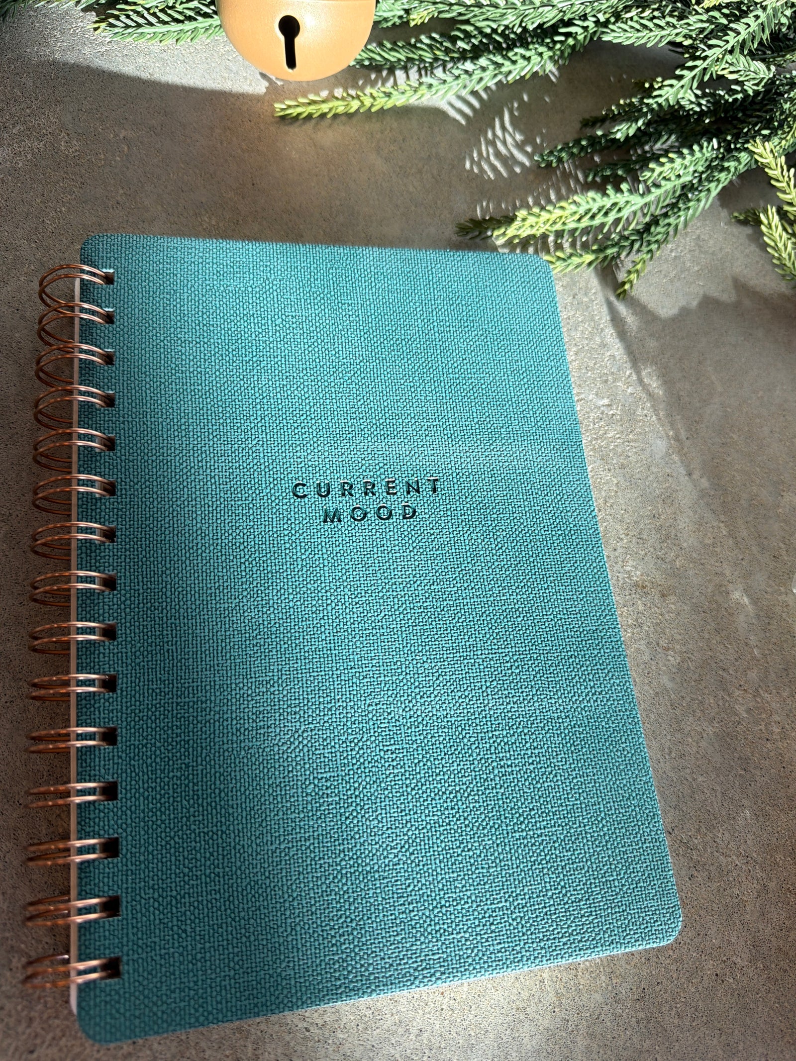 Agatha Notebook-Current Mood