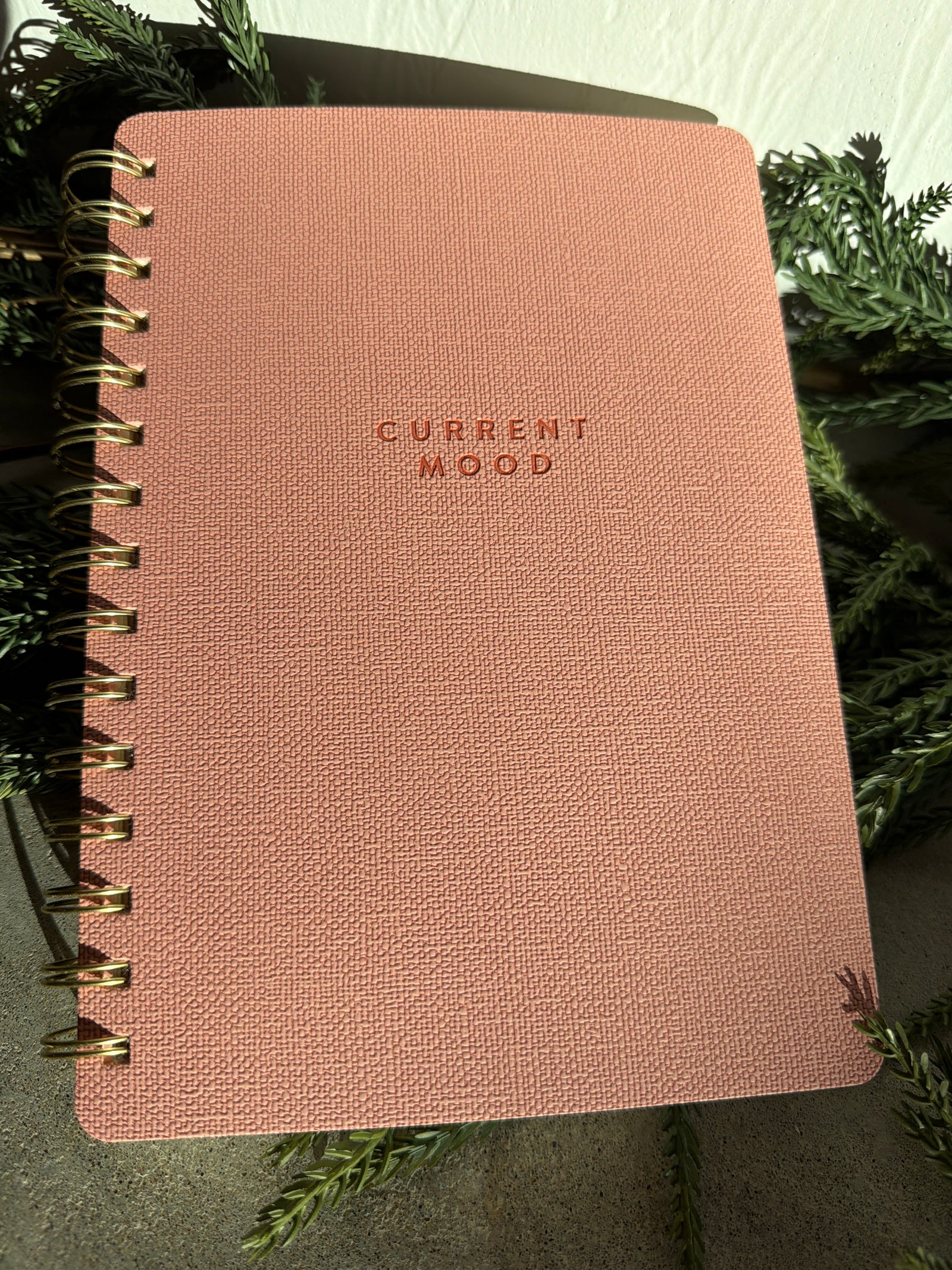 Agatha Notebook-Current Mood